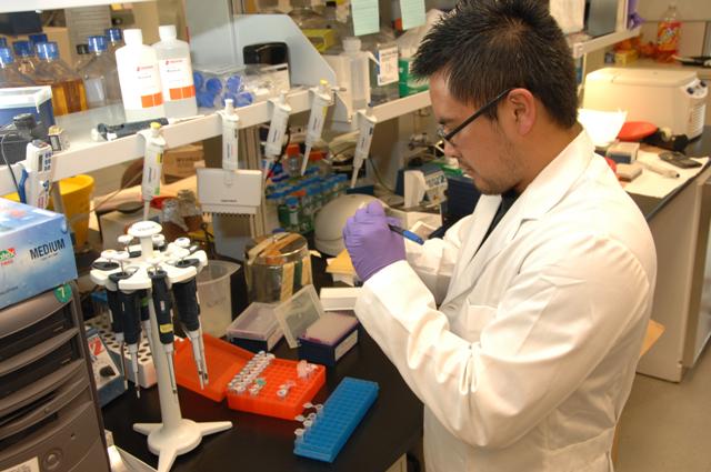 Medical laboratory specialist